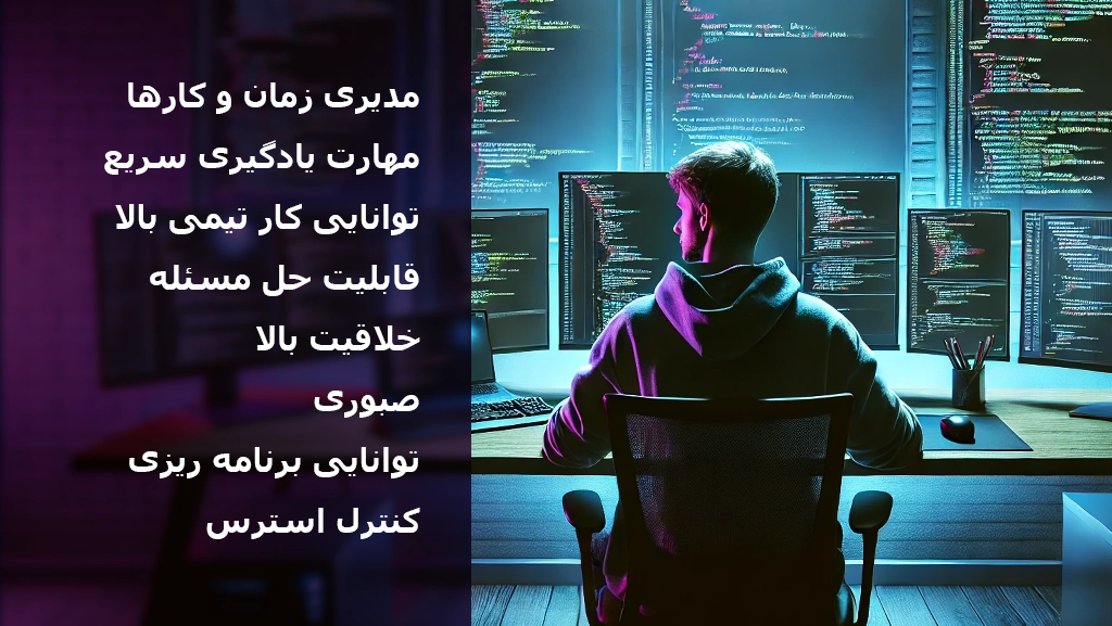 برنامه نویس حرفه ای