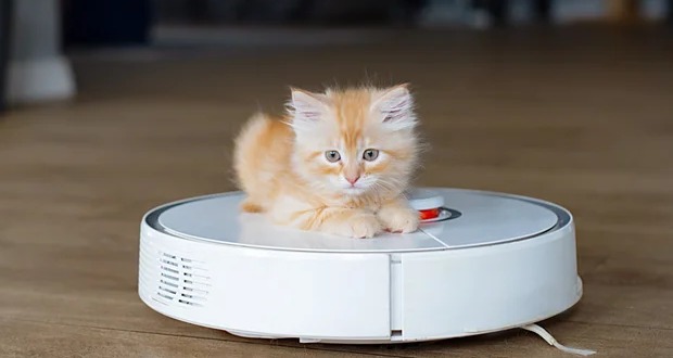 ۵ برند برتر جاروبرقی رباتیک از نگاه کاربران؛ از یوفی تا روبوراک