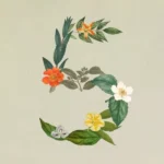آنتروپیک از Claude Sonnet 5 رونمایی کرد؛ مدلی قدرتمند برای هدایت ایجنت‌ها