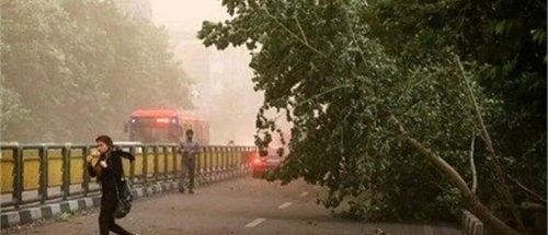 کاهش دما در برخی مناطق؛ احتمال سرمازدگی محصولات در مناطق سردسیر_6aaf903ab143f.jpeg