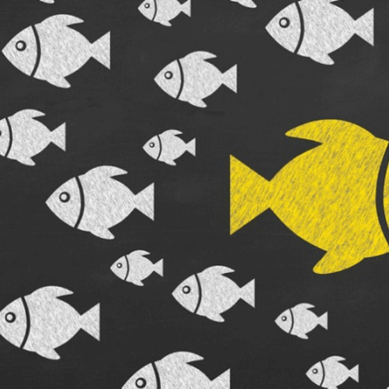 پارادایم چیست؟ آشنایی با مفهوم پارادایم شیفت به زبان ساده