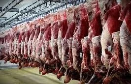 تامین کامل گوشت قرمز در بازار + قیمت