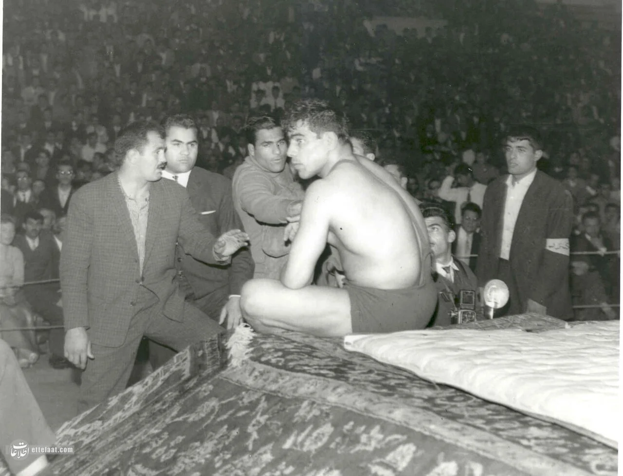 ۲۰ تصویر از جهان پهلوان تختی برای اولین بار منتشر شد + عکس