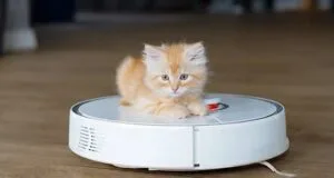 ۵ برند برتر جاروبرقی رباتیک از نگاه کاربران؛ از یوفی تا روبوراک