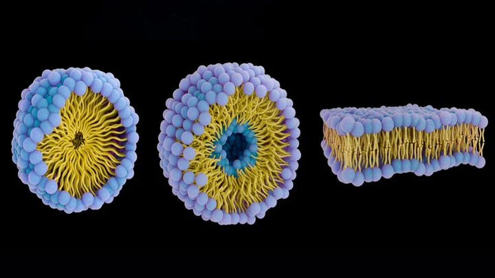 زیردریایی‌های پروتئینی علیه سرطان؛ دارورسانی هوشمند بدون عوارض گسترده