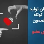 فراخوان تولید آثار کوتاه با مضمون «اهدای عضو» منتشر شد