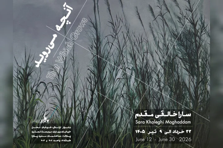 «آنچه می‌روید» به باگالری رسید؛ وفادار به بی‌نظمی جهان