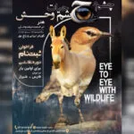 رویداد تجسمی «چشم در چشم حیات‌وحش» برگزار می‌شود
