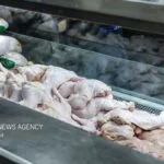ماجرای مصرف جگر مرغ برای سالمندان