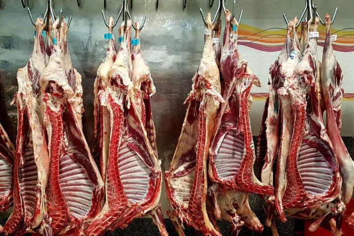 بازار گوشت در مسیر ثبات؛  ایران ظرفیت تبدیل شدن به هاب تولید و صادرات گوشت را دارد