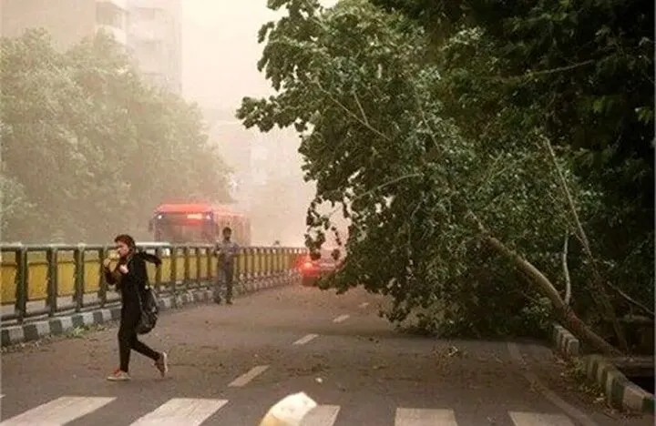 کاهش دما در برخی مناطق؛ احتمال سرمازدگی محصولات در مناطق سردسیر