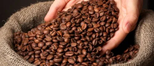 افزایش ۲۱درصدی ارزش صادرات جهانی قهوه؛ برزیل در صدر صادرات_697b8dbc29dc4.jpeg