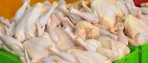 تأمین گوشت مرغ بازار/ برخورد جدی با گران‌فروشان_6963809de58a4.jpeg