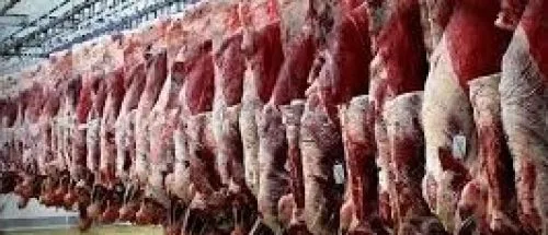 تامین کامل گوشت قرمز در بازار + قیمت_6963d4bd50259.jpeg