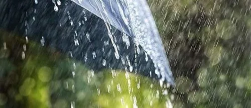 تهران ابری و بارانی؛ وزش باد ادامه دارد_698e2f0134ad4.jpeg