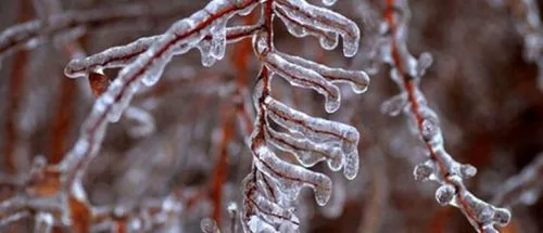 دمای تهران امشب به منفی ۲ درجه خواهد رسید_6958223c7b403.jpeg