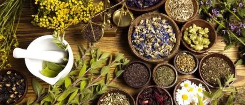 مصرف خودسرانه فرآورده‌های گیاهی خطرناک است _698644052aba2.jpeg