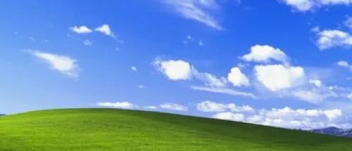 منظره تپه والپیپر نمادین ویندوز XP پس از ۳۰ سال / عکس_6999479461b51.jpeg