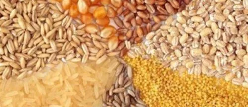 نهاده‌های فروخته‌شده گران نمی‌شود_69622f5d49878.jpeg