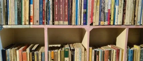 چرا بعضی کتاب‌ها کمیاب یا نایاب می‌شوند؟_699e28c7b877c.jpeg