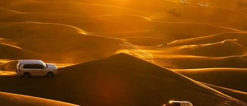 طراحی سایت وب وان